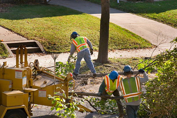 Best Storm Damage Tree Cleanup  in Tullahoma, TN